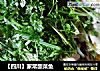 【四川】家常酸菜鱼的做法