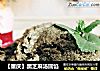 【重庆】黑芝麻汤圆馅的做法