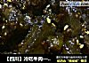 【四川】冷吃牛肉——四川自贡美食的做法