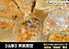 【山东】荠菜煎饺的做法