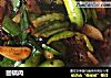 回锅肉的做法