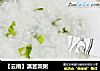 【云南】滇苦菜粥的做法