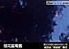桂花蓝莓酱的做法