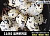 【上海】盐焗鹌鹑蛋的做法