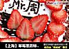 【上海】草莓黑森林生日蛋糕的做法