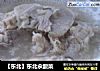 【东北】东北汆酸菜的做法