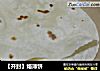 ［开封］烙薄饼的做法