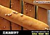 无黄油版饼干的做法