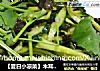 【夏日小凉菜】木耳拌黄瓜的做法