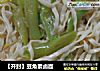 【开封】豆角素卤面的做法