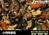 小鸡炖蘑菇的做法