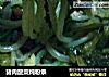 猪肉酸菜炖粉条的做法
