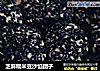 芝麻糯米豆沙馅团子的做法