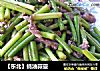 【东北】蚝油蒜薹的做法