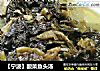 【宁波】酸菜鱼头汤的做法