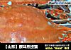 【山东】原味蒸螃蟹的做法