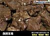孜然羊肉的做法