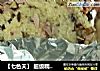 【七色天】 超级糯米鸡的做法