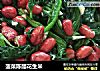 菠菜陈醋花生米的做法