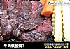 牛肉铁板烧?的做法