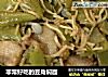 非常好吃的豆角焖面的做法