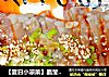 【夏日小凉菜】晶莹剔透猪皮冻的做法