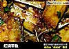 红烧带鱼的做法