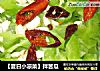 【夏日小凉菜】拌苦瓜的做法