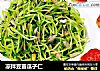 凉拌豆苗瓜子仁的做法