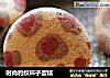 时尚豹纹杯子蛋糕的做法