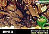 素炒菌菇的做法