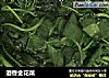 酒香金花菜的做法
