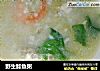 野生鲶鱼粥的做法