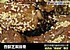 香酥芝麻排骨的做法