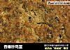 香椿炒鸡蛋的做法