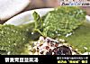藜麦青豆菠菜汤的做法