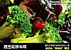 西兰花炒木耳的做法