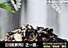 【川菜系列】之一夏天清爽解馋的少油版肉沫茄子的做法