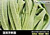 菠菜手擀面的做法