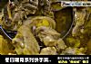 冬日暖胃系列快手菜：药膳鸡煲的做法