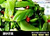 清炒芥菜的做法