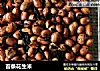 苔条花生米的做法