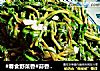 #春食野菜香#蒜香枸杞芽的做法