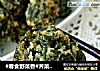 #春食野菜香#荠菜丸子的做法