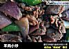 羊肉小炒的做法