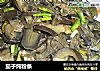 茄子炖粉条的做法
