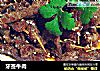 牙签牛肉的做法
