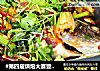 #第四届烘焙大赛暨是爱吃节#香烤罗非鱼的做法
