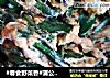 #春食野菜香#蒲公英炒蛋的做法