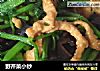 野芹菜小炒的做法